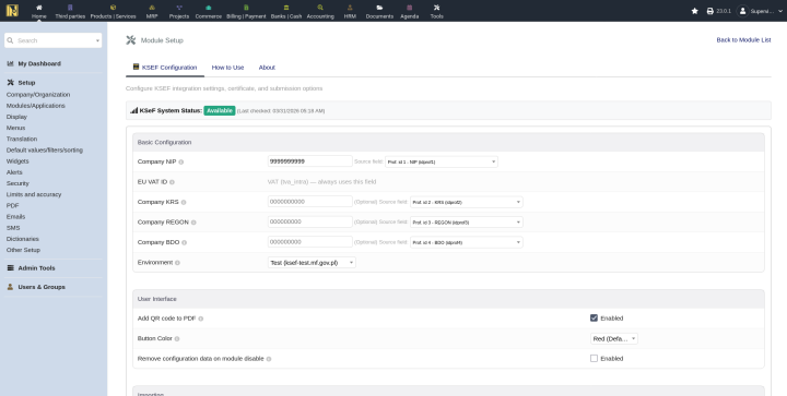 KSeF basic configuration showing Company NIP source field dropdown, identifier fields, and environment selector set to Demo